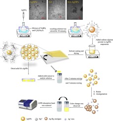 Colorimetric And Naked Eye Detection Of Trace Hg Ions In The