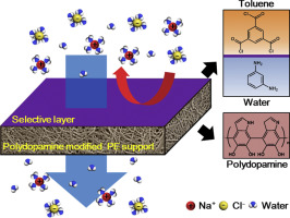 Fabrication Of High Performance And Durable Forward Osmosis Membranes