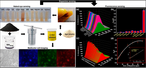 Nitrogen Doped Carbon Dots Via Hydrothermal Synthesis Naked Eye