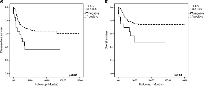 子宫颈的 HPV 阴性肿瘤 Modern Pathology X MOL