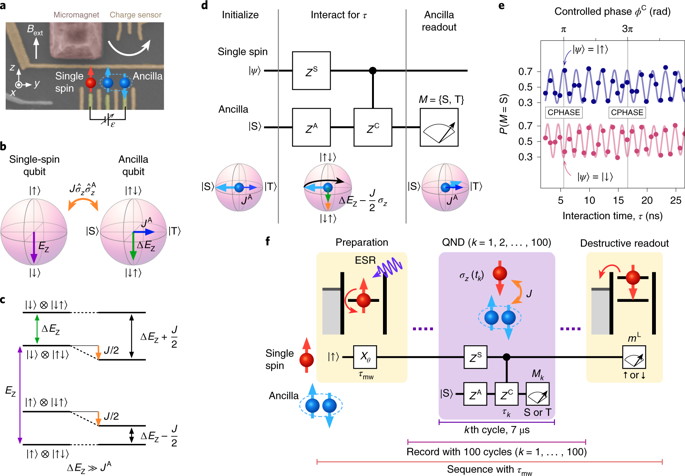 Quantum Non Demolition Measurement Of An Electron Spin Qubit Nature