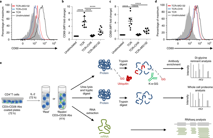 Integrative Proteomics Reveals An Increase In Non Degradative