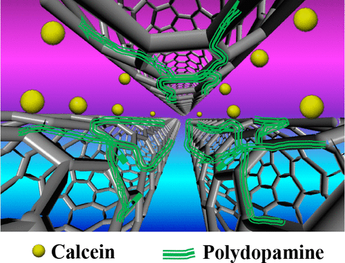 Polydopamine Modified Nanochannels In Vertically Aligned Carbon