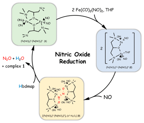 NO To N2O2 2 To N2O Conversion Triggered By Fe NO 2 10 Fe NO 2 9