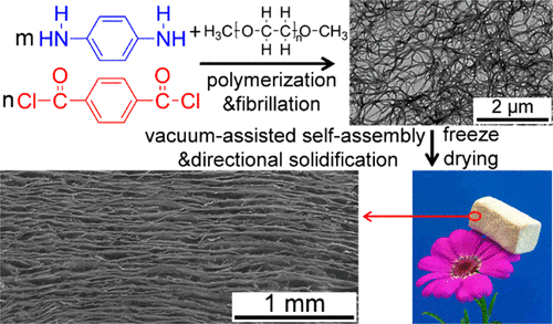 From Monomers To A Lasagna Like Aerogel Monolith An Assembling