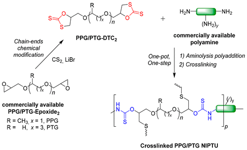 环二硫代碳酸酯远螯聚醚中的非异氰酸酯聚硫氨酯NIPTU Macromolecules X MOL