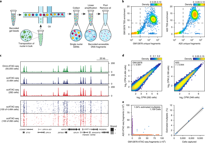 Massively Parallel Single Cell Rna Seq For Marker Free Decomposition Of