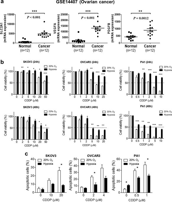 Mitochondrial Fission Causes Cisplatin Resistance Under Hypoxic