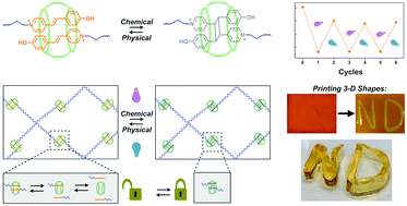 Reversible Hydrogel Dynamics By Physicalchemical Crosslink