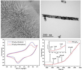 Highly Sensitive Non Enzymatic Glucose Sensor Based On Porous Nico O