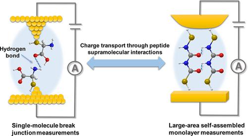 Charge Transport Through Peptides In SingleMolecule Electrical