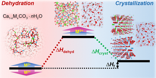 Thermodynamic Control Of Amorphous Precursor Phases For Calcium