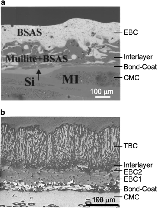 Environmental Degradation Of High Temperature Protective Coatings For