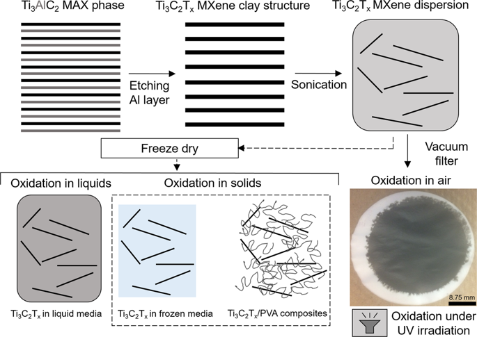 Oxidation Stability Of Ti C T X Mxene Nanosheets In Solvents And