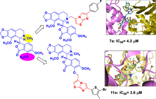 Imidazo 2 1 B Thiazole Coupled Natural Noscapine Derivatives As