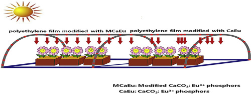 疏水碳酸钙荧光粉的制备及其在荧光薄膜中的应用 Journal of Luminescence X MOL