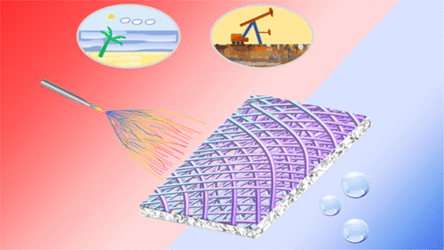 Electrospun Nanofibrous Polyphenylene Oxide Membranes For High Salinity