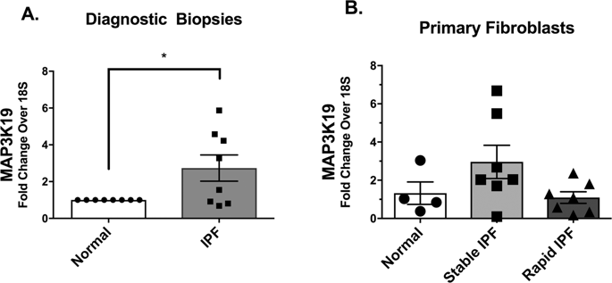 Targeting MAP3K19 Prevents Human Lung Myofibroblast Activation Both In