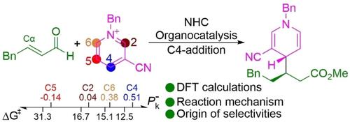 Origin Of Regio And Stereoselectivity In The Nhccatalyzed Reaction Of