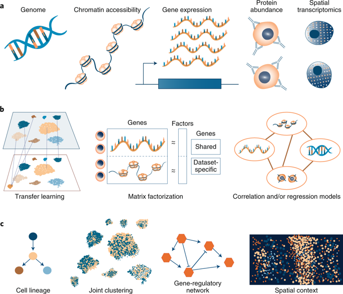 Computational Methods For Single Cell Omics Across Modalities Nature