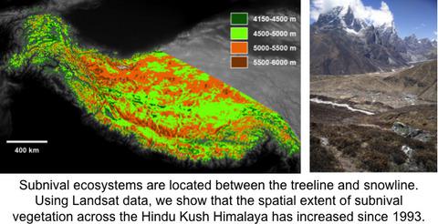 兴都库什喜马拉雅山以下的植被扩张 Global Change Biology X MOL