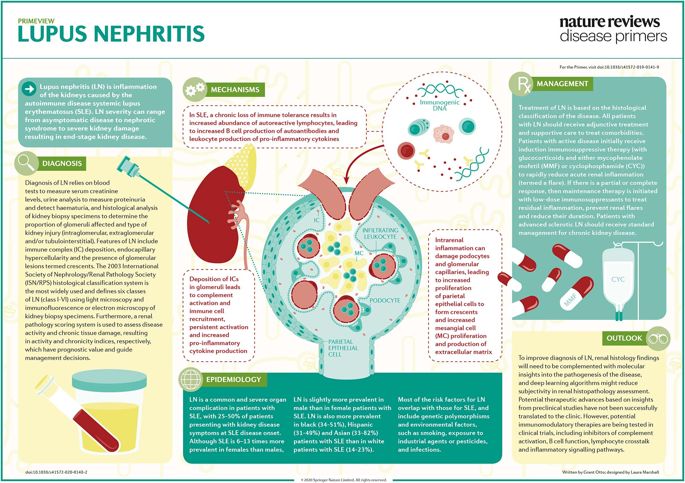 lupus nephritis