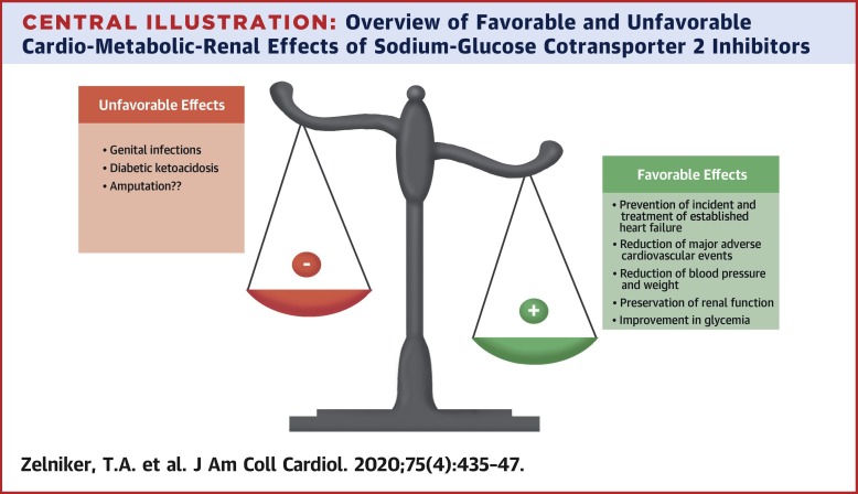 Clinical Benefit Of Cardiorenal Effects Of Sodium Glucose Cotransporter