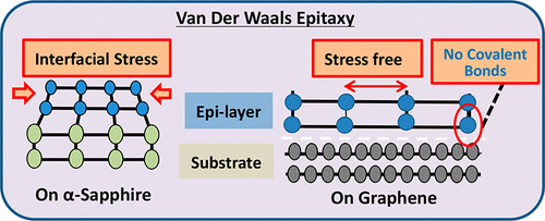 Growth Mechanism Of InN Nucleation Layers On Epitaxial Graphene Using