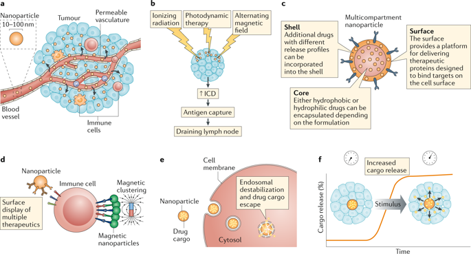 Enhancing Cancer Immunotherapy With Nanomedicine Nature Reviews