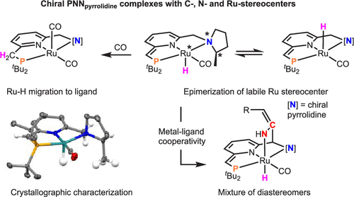 Pnn Organometallics X Mol