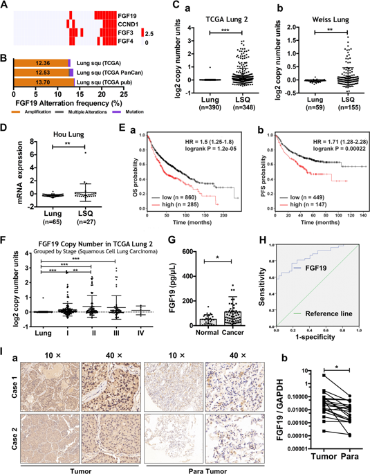 Enhanced Autocrine Fgf Fgfr Signaling Drives The Progression Of Lung