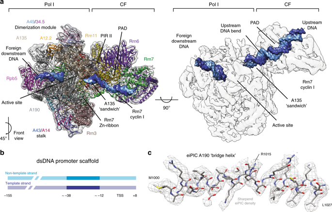 Rna I Nature Communications X Mol