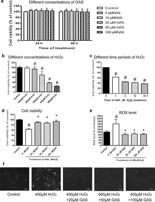 Gastrodin Protects H C Cardiomyocytes Against Oxidative Injury By