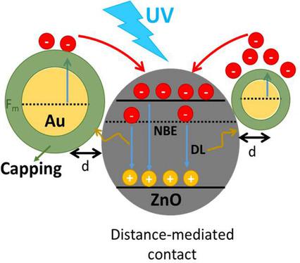 PlasmonEnhanced Photoluminescence And Photocatalysis Reactions In