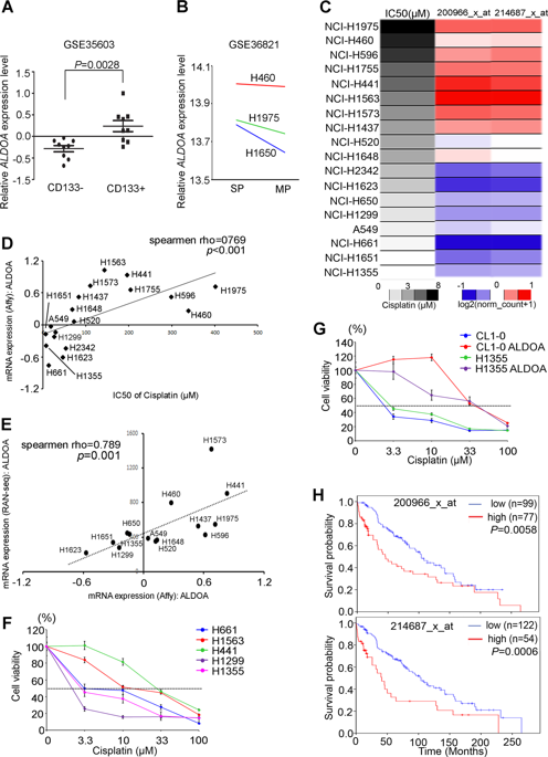 Nonenzymatic Function Of Aldolase A Downregulates Mir To Promote