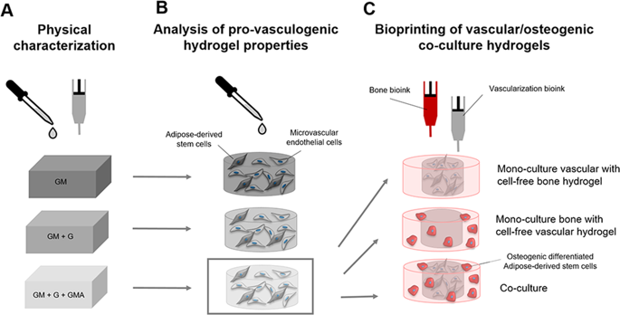 Advanced Gelatin Based Vascularization Bioinks For Extrusion Based