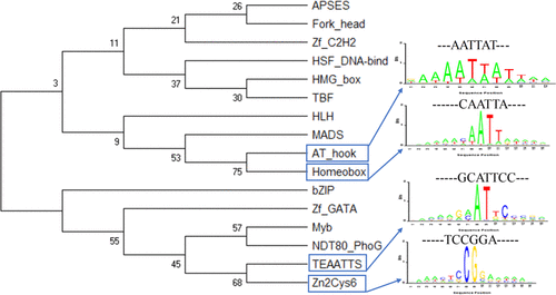 Identification Of Highest Affinity Binding Sites Of Yeast Transcription