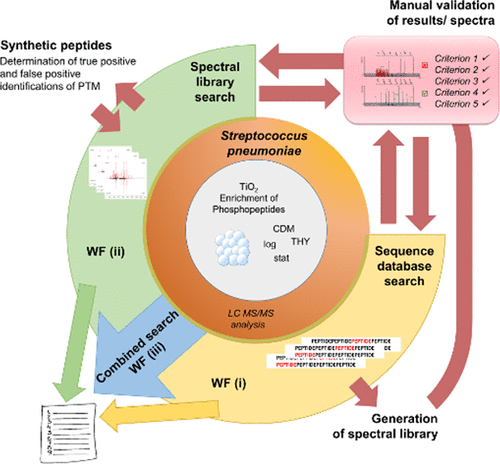 comprehensive spectral library from the pathogenic bacterium