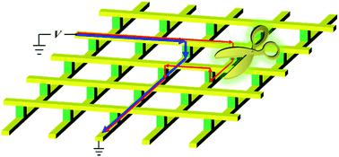 忆阻器交叉阵列潜行路径问题解决方法研究进展 Nanoscale Advances X MOL