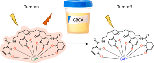 Rapid Detection Of Gadolinium Based Contrast Agents In Urine With A