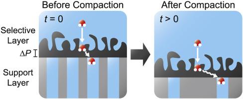 Thin Film Composite Membrane Compaction In High Pressure Reverse