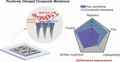 A Positively Charged Composite Loose Nanofiltration Membrane For Water