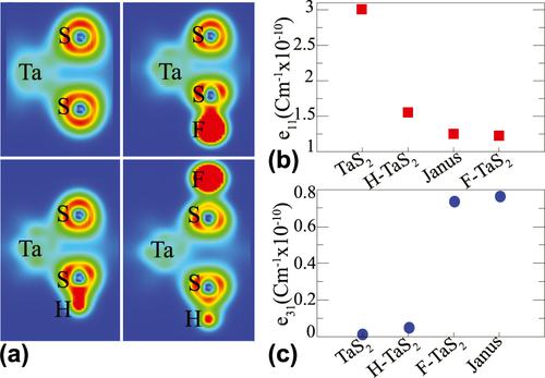 单层TaS 2的 功能化和超薄Janus结构的形成 Journal of Materials Research X MOL