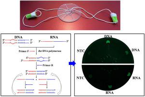 A Fully Integrated Hand Powered Centrifugal Microfluidic Platform For