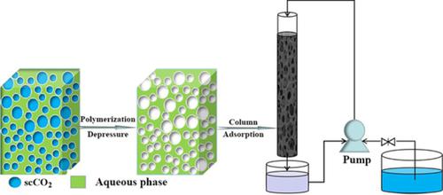 C W Emulsiontemplated Macroporous Anionic Monolith Application For