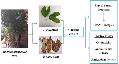 Profiling The Lipophilic Fractions Of Pithecellobium Dulce Bark And