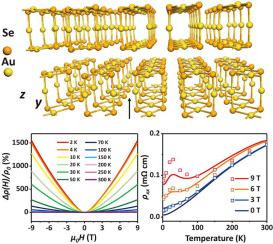 Quasi One Dimensional Van Der Waals Gold Selenide With Strong