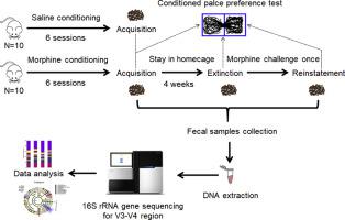 Differential Alteration In Gut Microbiome Profiles During Acquisition