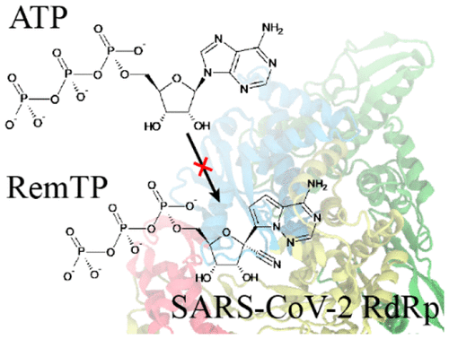 Structural Basis Of The Potential Binding Mechanism Of Remdesivir To