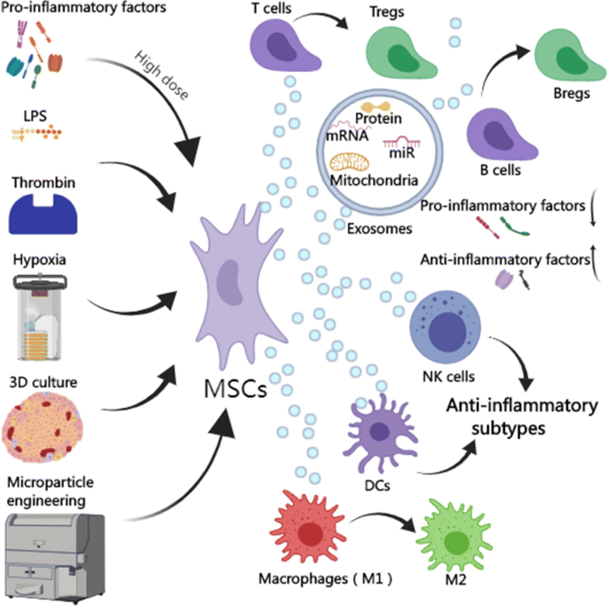 Immunosuppressive Effects Of Mesenchymal Stem Cells Derived Exosomes